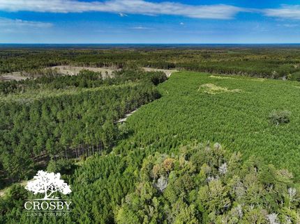 Farm Property for sale in Allendale County, South Carolina