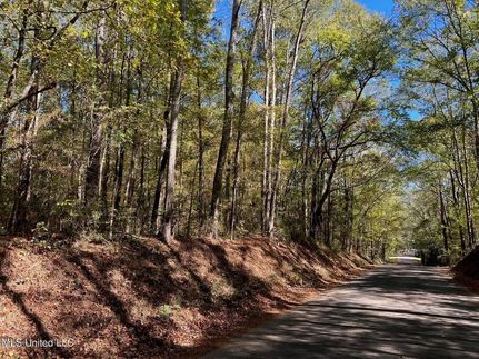 Undeveloped Land for sale in Pike County, Mississippi