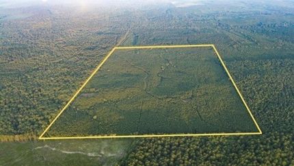 Undeveloped Land for sale in Claiborne Parish, Louisiana