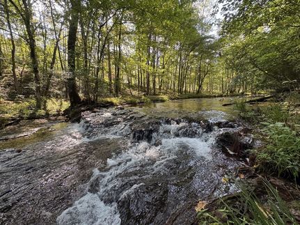 Property for sale in Wayne County, Tennessee