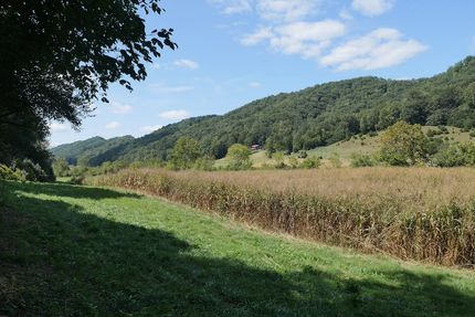 Residential Property for sale in Scott County, Virginia