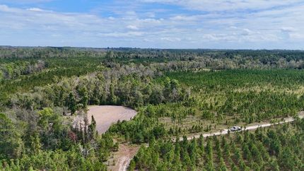 Hunting Land for sale in Jeff Davis County, Georgia