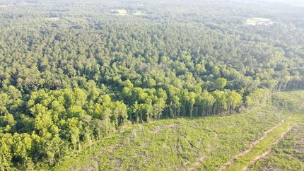 Timberland Property for sale in Talladega County, Alabama