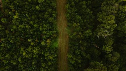 Hunting Land for sale in Lincoln Parish, Louisiana