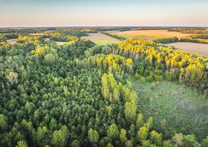 Property for sale in Macoupin County, Illinois