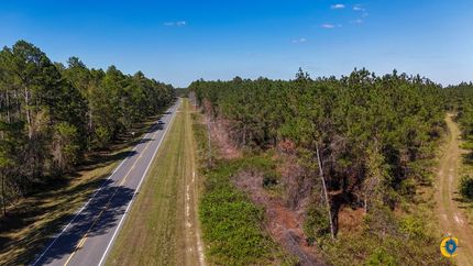 Recreational Property for sale in Bacon County, Georgia