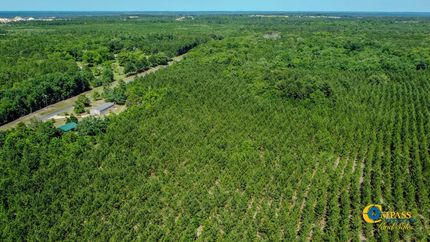 Undeveloped Land for sale in Marion County, Georgia