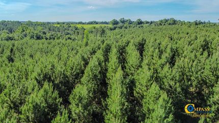 Property for sale in Marion County, Georgia