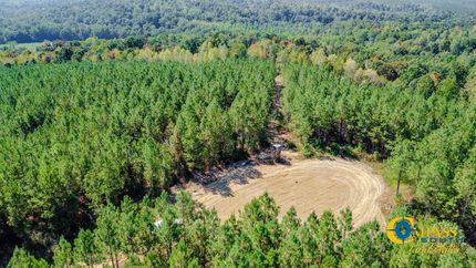 Undeveloped Land for sale in Stewart County, Tennessee
