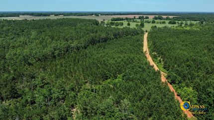 Hunting Land for sale in Marion County, Georgia