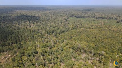 Property for sale in Ashley County, Arkansas