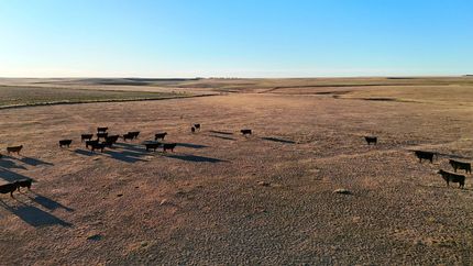 Hunting Land for sale in Washington County, Colorado