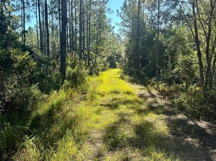 Recreational Property for sale in Levy County, Florida