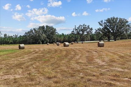 Property for sale in Madison County, Florida
