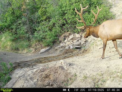 Hunting Land for sale in Mesa County, Colorado