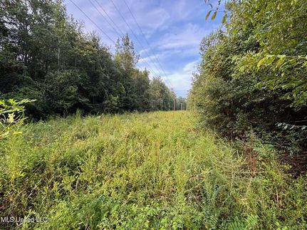 Undeveloped Land for sale in Jones County, Mississippi