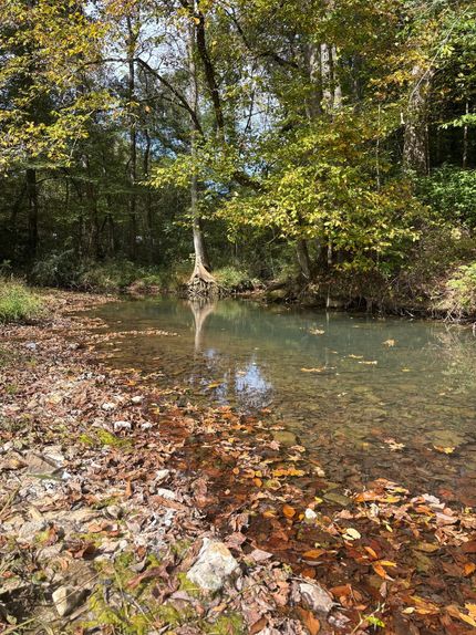 Hunting Land for sale in Bledsoe County, Tennessee