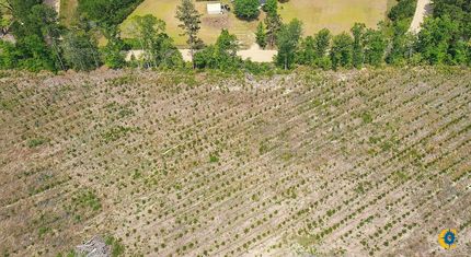 Property for sale in Bulloch County, Georgia