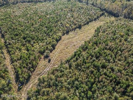 Property for sale in Amite County, Mississippi