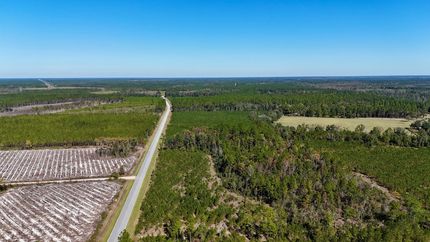 Timberland Property for sale in Charlton County, Georgia