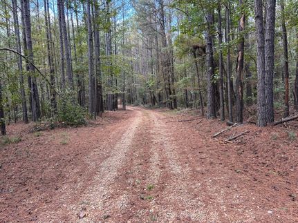 Hunting Land for sale in Rankin County, Mississippi
