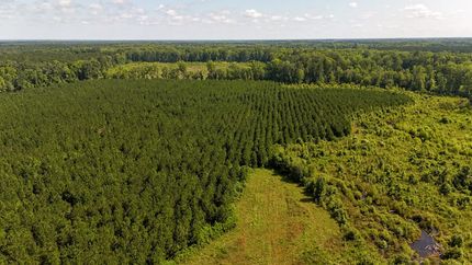 Hunting Land for sale in Orangeburg County, South Carolina