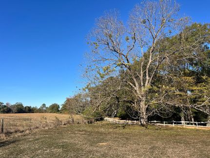 Property for sale in Dallas County, Alabama