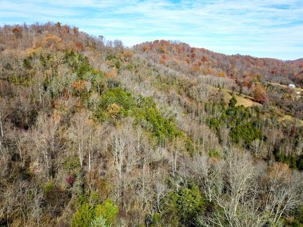 Undeveloped Land for sale in Claiborne County, Tennessee