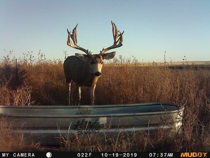 Recreational Property for sale in Baca County, Colorado