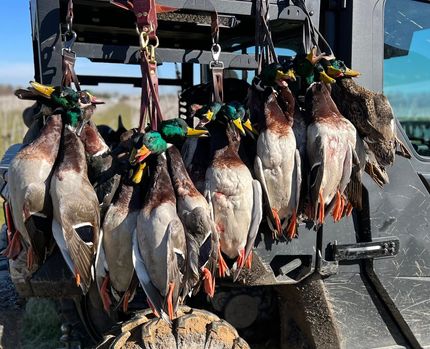 Property for sale in Concordia Parish, Louisiana