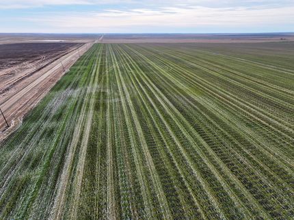 Ranch Property for sale in Stanley County, South Dakota