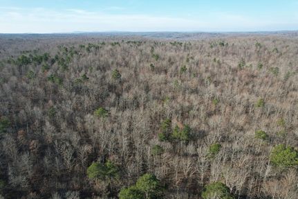 Property for sale in Madison County, Missouri