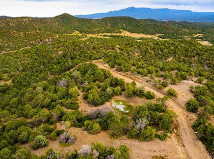 Hunting Land for sale in Las Animas County, Colorado