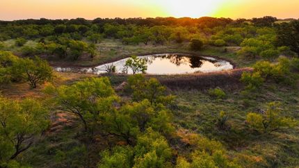 Undeveloped Land for sale in Young County, Texas