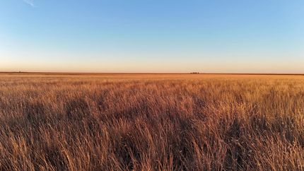 Hunting Land for sale in Hockley County, Texas