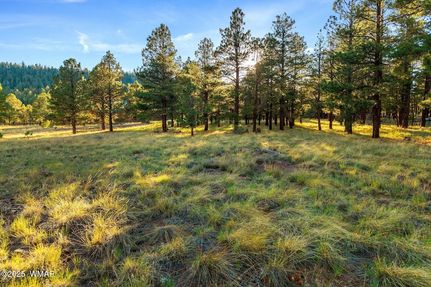 Property for sale in Apache County, Arizona