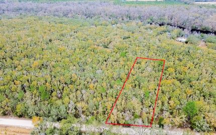 Undeveloped Land for sale in Lafayette County, Florida