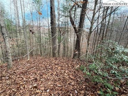 Property for sale in Caldwell County, North Carolina
