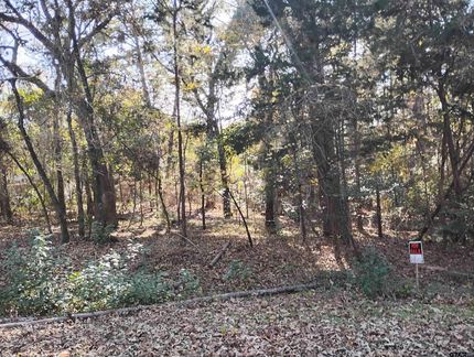 Property for sale in Cherokee County, Texas