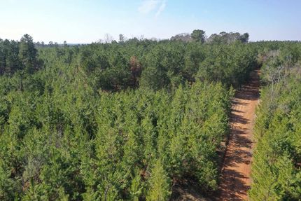 Hunting Land for sale in Clark County, Arkansas