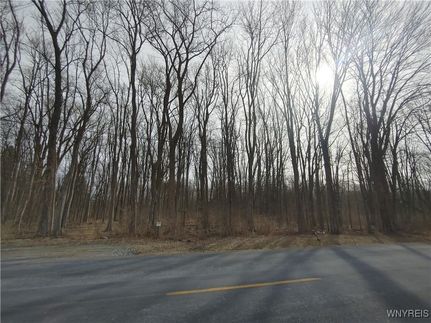 Property for sale in Orleans County, New York