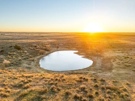 Undeveloped Land for sale in Woodward County, Oklahoma