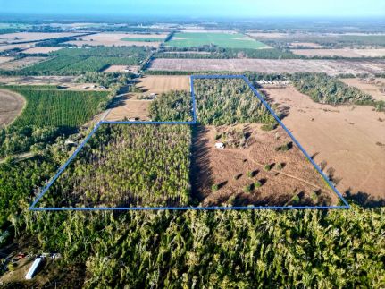 Property for sale in Lafayette County, Florida