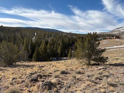 Hunting Land for sale in Larimer County, Colorado