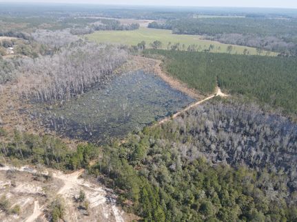 Property for sale in Covington County, Alabama