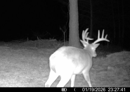 Timberland Property for sale in Madison County, Mississippi