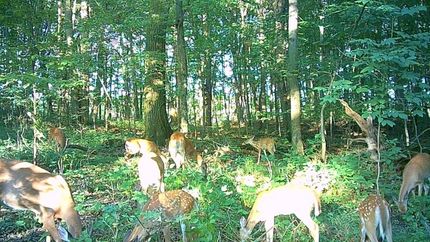 Property for sale in Calhoun County, Michigan