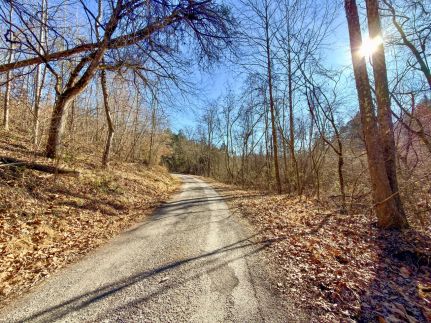 Hunting Land for sale in Union County, Tennessee