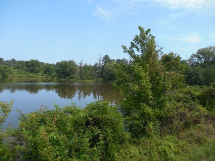 Property for sale in Franklin County, Mississippi