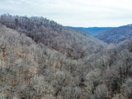 Undeveloped Land for sale in Claiborne County, Tennessee